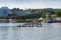 Royal St. JohnÃ¢â¬â¢s Regatta